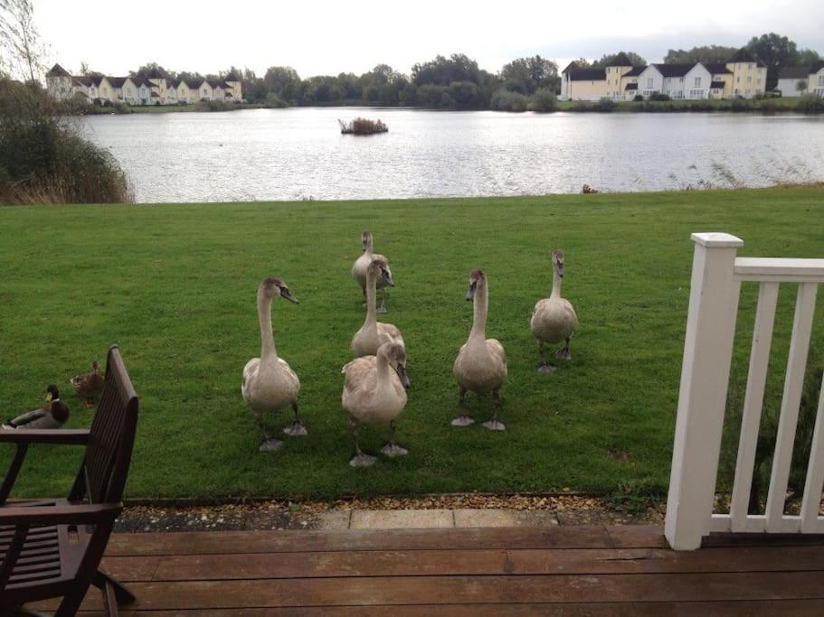 38 Windrush Lake South Cerney Exterior foto